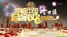 江苏卫视2015春晚 幸福中国合家欢